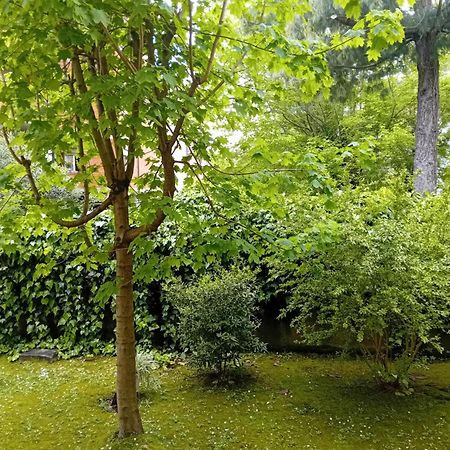 Casa Vacanze Lida Marina di Carrara Kültér fotó